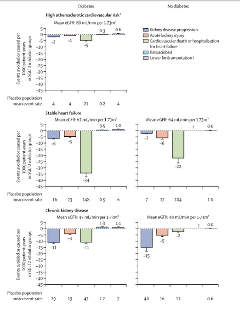 Almen praksis får ny afgørende rolle i behandlingen af nyresygdom